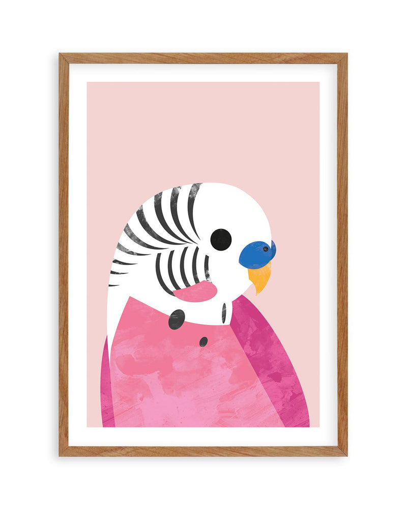 Budgie by Dan Hobday Art Print-PRINT-Olive et Oriel-Dan Hobday-50x70 cm | 19.6" x 27.5"-Walnut-With White Border-Buy-Australian-Art-Prints-Online-with-Olive-et-Oriel-Your-Artwork-Specialists-Austrailia-Decorate-With-Coastal-Photo-Wall-Art-Prints-From-Our-Beach-House-Artwork-Collection-Fine-Poster-and-Framed-Artwork