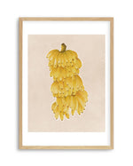 Bunch of Bananas Art Print-PRINT-Olive et Oriel-Olive et Oriel-A5 | 5.8" x 8.3" | 14.8 x 21cm-Oak-With White Border-Buy-Australian-Art-Prints-Online-with-Olive-et-Oriel-Your-Artwork-Specialists-Austrailia-Decorate-With-Coastal-Photo-Wall-Art-Prints-From-Our-Beach-House-Artwork-Collection-Fine-Poster-and-Framed-Artwork