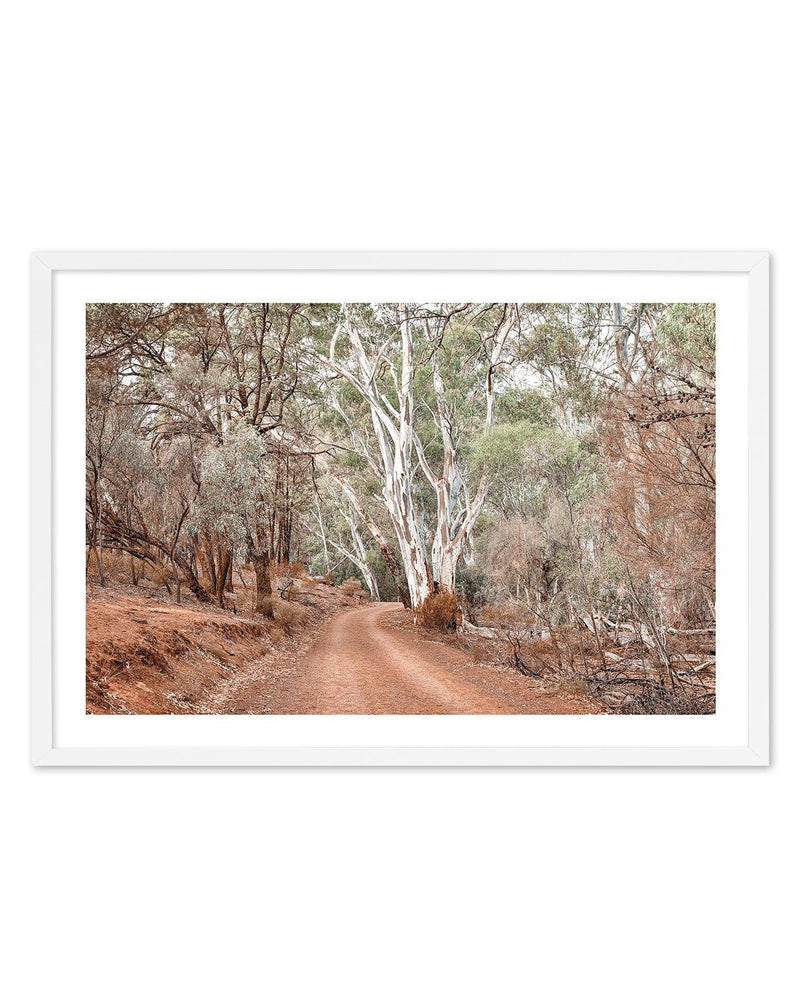 Bush Tracks Art Print-PRINT-Olive et Oriel-Olive et Oriel-A5 | 5.8" x 8.3" | 14.8 x 21cm-White-With White Border-Buy-Australian-Art-Prints-Online-with-Olive-et-Oriel-Your-Artwork-Specialists-Austrailia-Decorate-With-Coastal-Photo-Wall-Art-Prints-From-Our-Beach-House-Artwork-Collection-Fine-Poster-and-Framed-Artwork