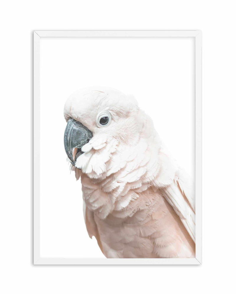 Cockatoo on White Art Print-PRINT-Olive et Oriel-Olive et Oriel-A5 | 5.8" x 8.3" | 14.8 x 21cm-White-With White Border-Buy-Australian-Art-Prints-Online-with-Olive-et-Oriel-Your-Artwork-Specialists-Austrailia-Decorate-With-Coastal-Photo-Wall-Art-Prints-From-Our-Beach-House-Artwork-Collection-Fine-Poster-and-Framed-Artwork