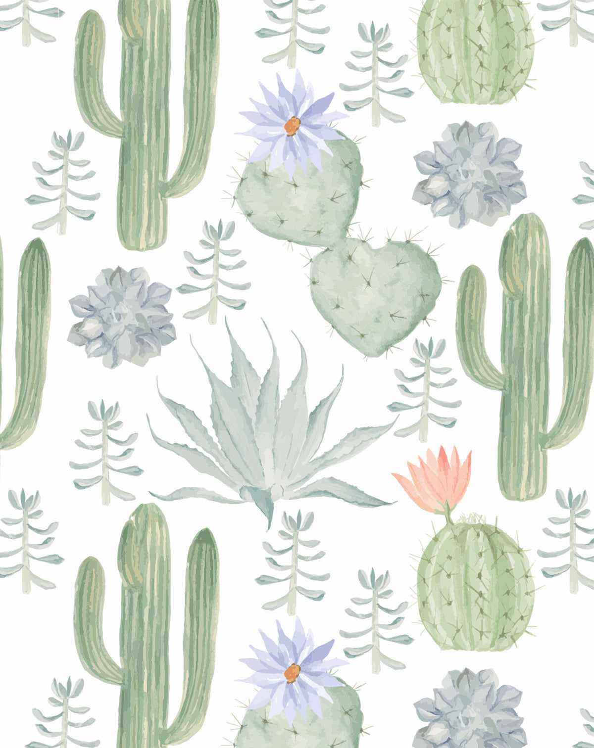 Cute Cactus Wallpapers Cartoon HD 2020 APK for Android Download
