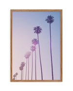 Californian Sunset I Art Print-PRINT-Olive et Oriel-Olive et Oriel-50x70 cm | 19.6" x 27.5"-Walnut-With White Border-Buy-Australian-Art-Prints-Online-with-Olive-et-Oriel-Your-Artwork-Specialists-Austrailia-Decorate-With-Coastal-Photo-Wall-Art-Prints-From-Our-Beach-House-Artwork-Collection-Fine-Poster-and-Framed-Artwork