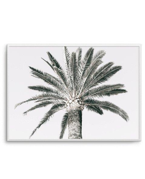 Cannes Palm | LS Art Print-PRINT-Olive et Oriel-Olive et Oriel-A5 | 5.8" x 8.3" | 14.8 x 21cm-Unframed Art Print-With White Border-Buy-Australian-Art-Prints-Online-with-Olive-et-Oriel-Your-Artwork-Specialists-Austrailia-Decorate-With-Coastal-Photo-Wall-Art-Prints-From-Our-Beach-House-Artwork-Collection-Fine-Poster-and-Framed-Artwork