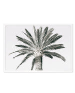 Cannes Palm | LS Art Print-PRINT-Olive et Oriel-Olive et Oriel-A5 | 5.8" x 8.3" | 14.8 x 21cm-White-With White Border-Buy-Australian-Art-Prints-Online-with-Olive-et-Oriel-Your-Artwork-Specialists-Austrailia-Decorate-With-Coastal-Photo-Wall-Art-Prints-From-Our-Beach-House-Artwork-Collection-Fine-Poster-and-Framed-Artwork