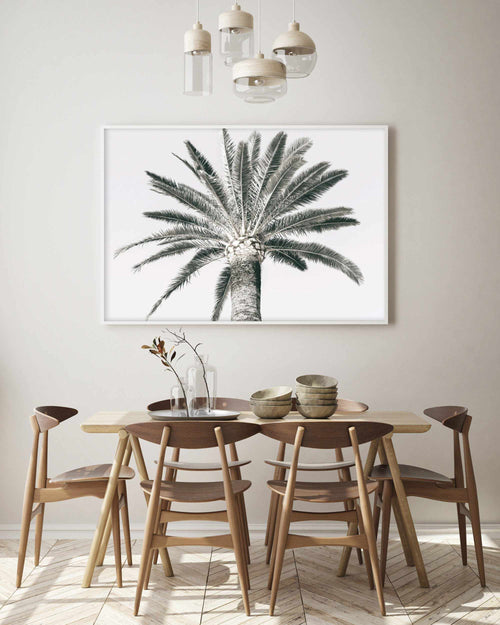 Cannes Palm | LS Art Print-PRINT-Olive et Oriel-Olive et Oriel-Buy-Australian-Art-Prints-Online-with-Olive-et-Oriel-Your-Artwork-Specialists-Austrailia-Decorate-With-Coastal-Photo-Wall-Art-Prints-From-Our-Beach-House-Artwork-Collection-Fine-Poster-and-Framed-Artwork