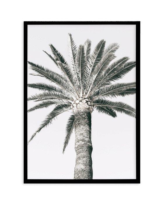 Cannes Palm | PT Art Print-PRINT-Olive et Oriel-Olive et Oriel-A5 | 5.8" x 8.3" | 14.8 x 21cm-Black-With White Border-Buy-Australian-Art-Prints-Online-with-Olive-et-Oriel-Your-Artwork-Specialists-Austrailia-Decorate-With-Coastal-Photo-Wall-Art-Prints-From-Our-Beach-House-Artwork-Collection-Fine-Poster-and-Framed-Artwork
