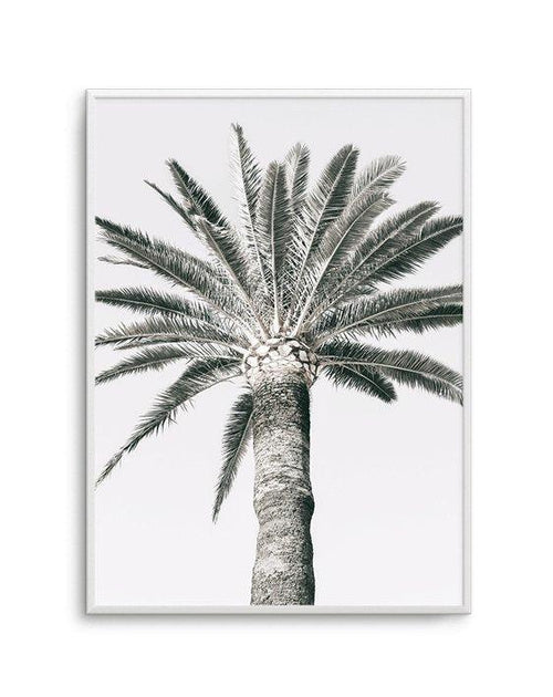 Cannes Palm | PT Art Print-PRINT-Olive et Oriel-Olive et Oriel-A5 | 5.8" x 8.3" | 14.8 x 21cm-Unframed Art Print-With White Border-Buy-Australian-Art-Prints-Online-with-Olive-et-Oriel-Your-Artwork-Specialists-Austrailia-Decorate-With-Coastal-Photo-Wall-Art-Prints-From-Our-Beach-House-Artwork-Collection-Fine-Poster-and-Framed-Artwork