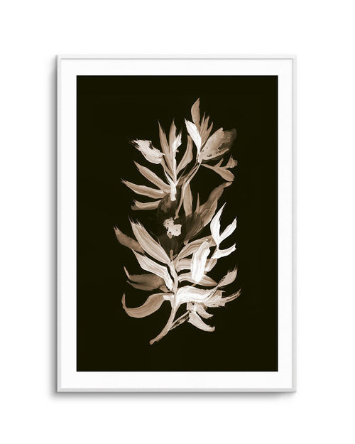 Classic Bloom by Dan Hobday Art Print-PRINT-Olive et Oriel-Dan Hobday-Buy-Australian-Art-Prints-Online-with-Olive-et-Oriel-Your-Artwork-Specialists-Austrailia-Decorate-With-Coastal-Photo-Wall-Art-Prints-From-Our-Beach-House-Artwork-Collection-Fine-Poster-and-Framed-Artwork