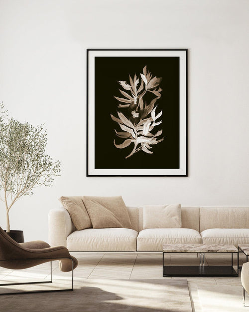 Classic Bloom by Dan Hobday Art Print-PRINT-Olive et Oriel-Dan Hobday-Buy-Australian-Art-Prints-Online-with-Olive-et-Oriel-Your-Artwork-Specialists-Austrailia-Decorate-With-Coastal-Photo-Wall-Art-Prints-From-Our-Beach-House-Artwork-Collection-Fine-Poster-and-Framed-Artwork