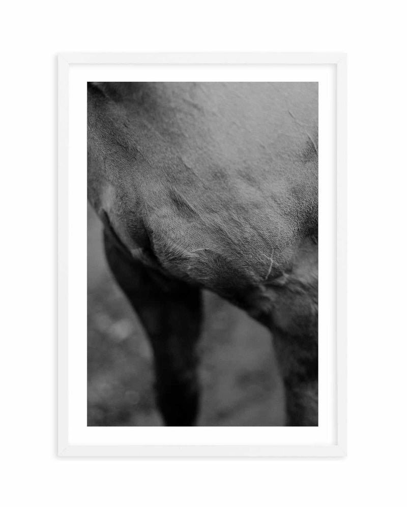 Club Polo II Art Print-PRINT-Olive et Oriel-Olive et Oriel-A5 | 5.8" x 8.3" | 14.8 x 21cm-White-With White Border-Buy-Australian-Art-Prints-Online-with-Olive-et-Oriel-Your-Artwork-Specialists-Austrailia-Decorate-With-Coastal-Photo-Wall-Art-Prints-From-Our-Beach-House-Artwork-Collection-Fine-Poster-and-Framed-Artwork