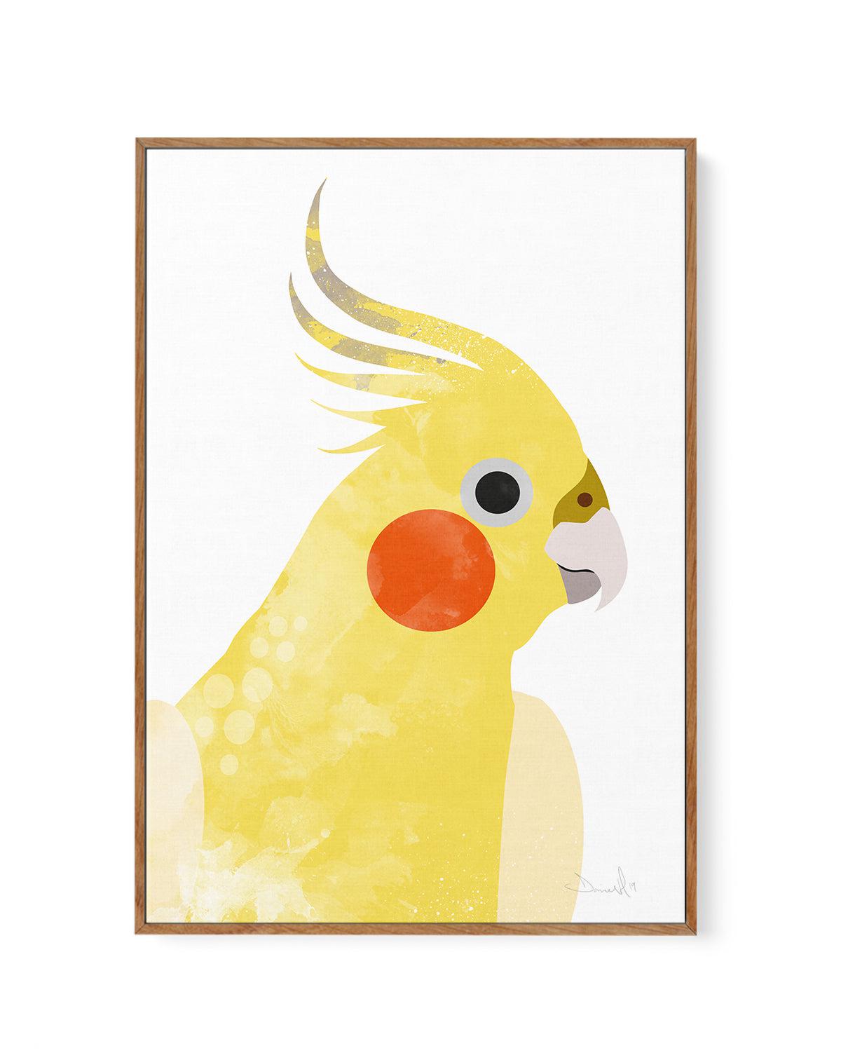 Cockatiel I by Dan Hobday | Framed Canvas-CANVAS-You can shop wall art online with Olive et Oriel for everything from abstract art to fun kids wall art. Our beautiful modern art prints and canvas art are available from large canvas prints to wall art paintings and our proudly Australian artwork collection offers only the highest quality framed large wall art and canvas art Australia - You can buy fashion photography prints or Hampton print posters and paintings on canvas from Olive et Oriel and 