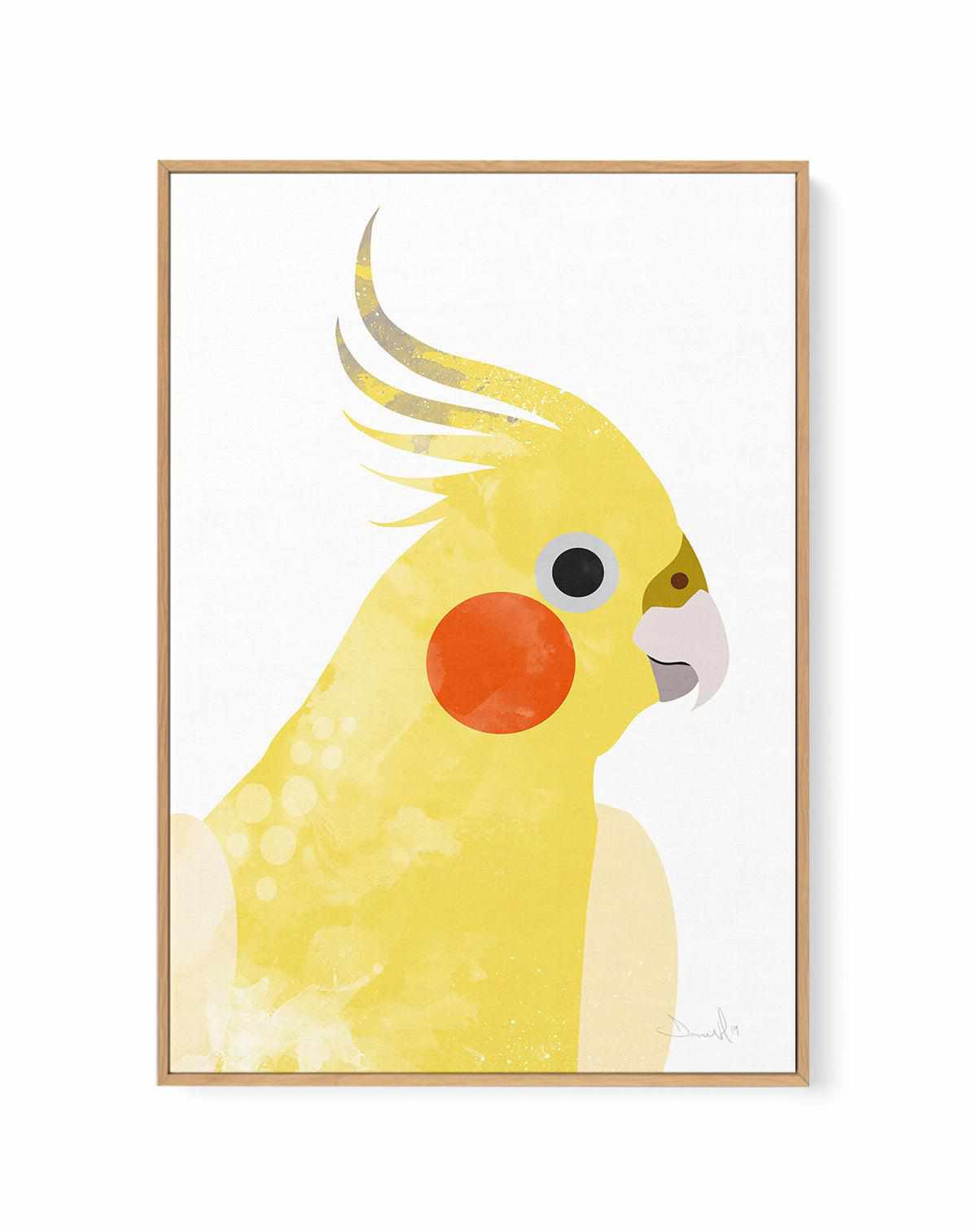 Cockatiel I by Dan Hobday | Framed Canvas Art Print