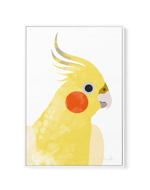 Cockatiel I by Dan Hobday | Framed Canvas-CANVAS-You can shop wall art online with Olive et Oriel for everything from abstract art to fun kids wall art. Our beautiful modern art prints and canvas art are available from large canvas prints to wall art paintings and our proudly Australian artwork collection offers only the highest quality framed large wall art and canvas art Australia - You can buy fashion photography prints or Hampton print posters and paintings on canvas from Olive et Oriel and 