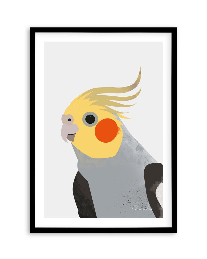 Cockatiel II by Dan Hobday Art Print-PRINT-Olive et Oriel-Dan Hobday-A5 | 5.8" x 8.3" | 14.8 x 21cm-Black-With White Border-Buy-Australian-Art-Prints-Online-with-Olive-et-Oriel-Your-Artwork-Specialists-Austrailia-Decorate-With-Coastal-Photo-Wall-Art-Prints-From-Our-Beach-House-Artwork-Collection-Fine-Poster-and-Framed-Artwork
