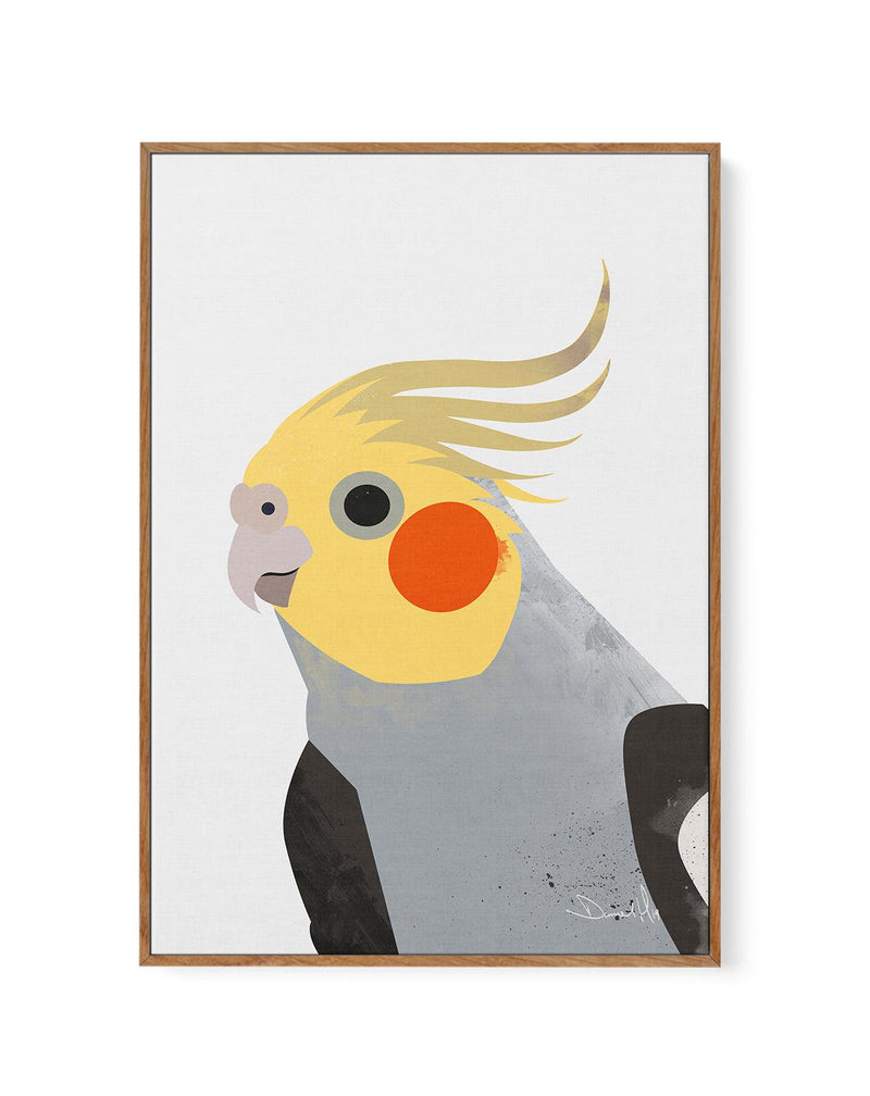 Cockatiel II by Dan Hobday | Framed Canvas-CANVAS-You can shop wall art online with Olive et Oriel for everything from abstract art to fun kids wall art. Our beautiful modern art prints and canvas art are available from large canvas prints to wall art paintings and our proudly Australian artwork collection offers only the highest quality framed large wall art and canvas art Australia - You can buy fashion photography prints or Hampton print posters and paintings on canvas from Olive et Oriel and