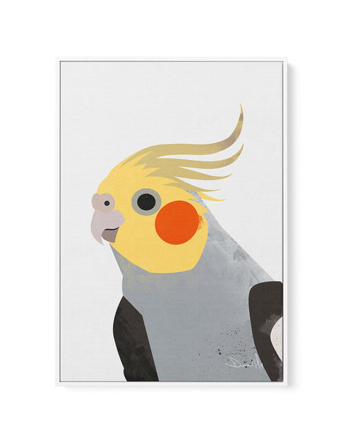 Cockatiel II by Dan Hobday | Framed Canvas-CANVAS-You can shop wall art online with Olive et Oriel for everything from abstract art to fun kids wall art. Our beautiful modern art prints and canvas art are available from large canvas prints to wall art paintings and our proudly Australian artwork collection offers only the highest quality framed large wall art and canvas art Australia - You can buy fashion photography prints or Hampton print posters and paintings on canvas from Olive et Oriel and