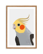 Cockatiel II by Dan Hobday Art Print-PRINT-Olive et Oriel-Dan Hobday-50x70 cm | 19.6" x 27.5"-Walnut-With White Border-Buy-Australian-Art-Prints-Online-with-Olive-et-Oriel-Your-Artwork-Specialists-Austrailia-Decorate-With-Coastal-Photo-Wall-Art-Prints-From-Our-Beach-House-Artwork-Collection-Fine-Poster-and-Framed-Artwork