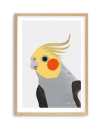 Cockatiel II by Dan Hobday Art Print-PRINT-Olive et Oriel-Dan Hobday-A5 | 5.8" x 8.3" | 14.8 x 21cm-Oak-With White Border-Buy-Australian-Art-Prints-Online-with-Olive-et-Oriel-Your-Artwork-Specialists-Austrailia-Decorate-With-Coastal-Photo-Wall-Art-Prints-From-Our-Beach-House-Artwork-Collection-Fine-Poster-and-Framed-Artwork
