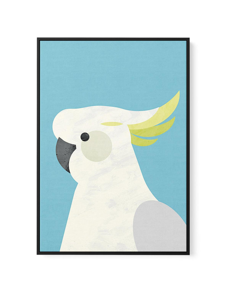 Cockatoo on Blue by Dan Hobday | Framed Canvas-CANVAS-You can shop wall art online with Olive et Oriel for everything from abstract art to fun kids wall art. Our beautiful modern art prints and canvas art are available from large canvas prints to wall art paintings and our proudly Australian artwork collection offers only the highest quality framed large wall art and canvas art Australia - You can buy fashion photography prints or Hampton print posters and paintings on canvas from Olive et Oriel