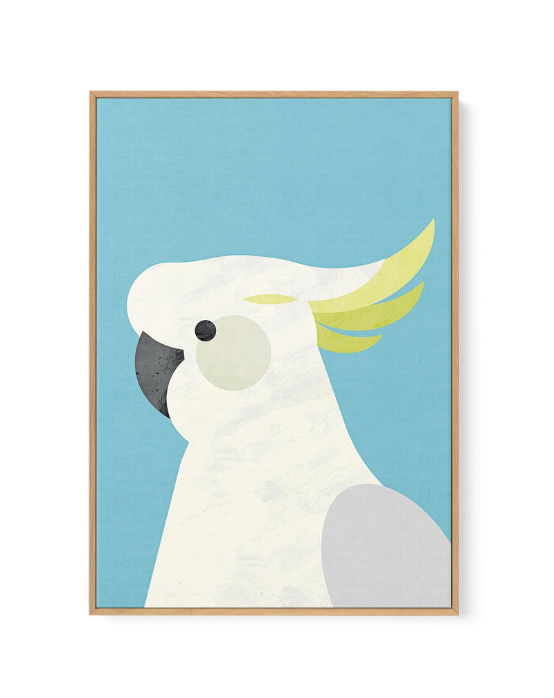 Cockatoo on Blue by Dan Hobday | Framed Canvas-CANVAS-You can shop wall art online with Olive et Oriel for everything from abstract art to fun kids wall art. Our beautiful modern art prints and canvas art are available from large canvas prints to wall art paintings and our proudly Australian artwork collection offers only the highest quality framed large wall art and canvas art Australia - You can buy fashion photography prints or Hampton print posters and paintings on canvas from Olive et Oriel