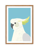 Cockatoo on Blue by Dan Hobday Art Print-PRINT-Olive et Oriel-Dan Hobday-50x70 cm | 19.6" x 27.5"-Walnut-With White Border-Buy-Australian-Art-Prints-Online-with-Olive-et-Oriel-Your-Artwork-Specialists-Austrailia-Decorate-With-Coastal-Photo-Wall-Art-Prints-From-Our-Beach-House-Artwork-Collection-Fine-Poster-and-Framed-Artwork