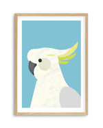 Cockatoo on Blue by Dan Hobday Art Print-PRINT-Olive et Oriel-Dan Hobday-A5 | 5.8" x 8.3" | 14.8 x 21cm-Oak-With White Border-Buy-Australian-Art-Prints-Online-with-Olive-et-Oriel-Your-Artwork-Specialists-Austrailia-Decorate-With-Coastal-Photo-Wall-Art-Prints-From-Our-Beach-House-Artwork-Collection-Fine-Poster-and-Framed-Artwork