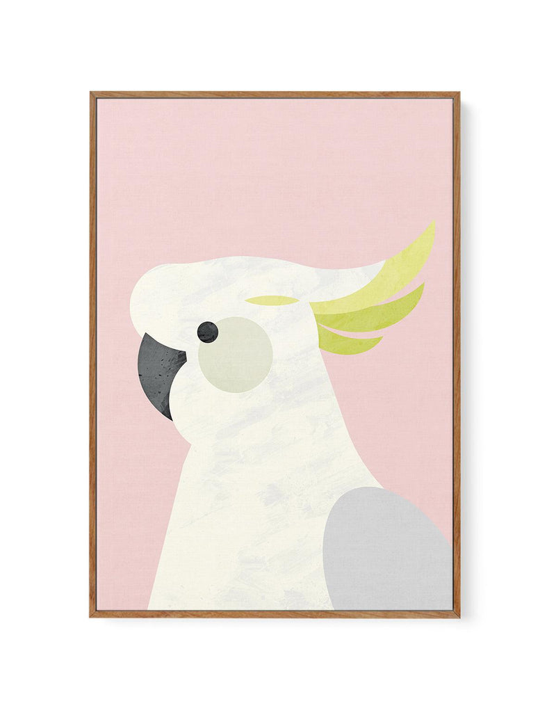 Cockatoo on Pink by Dan Hobday | Framed Canvas-CANVAS-You can shop wall art online with Olive et Oriel for everything from abstract art to fun kids wall art. Our beautiful modern art prints and canvas art are available from large canvas prints to wall art paintings and our proudly Australian artwork collection offers only the highest quality framed large wall art and canvas art Australia - You can buy fashion photography prints or Hampton print posters and paintings on canvas from Olive et Oriel