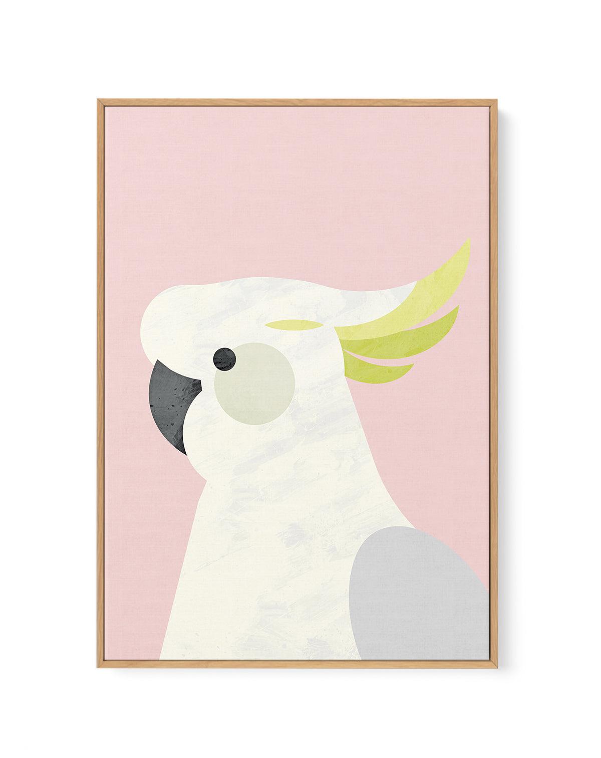 Cockatoo on Pink by Dan Hobday | Framed Canvas-CANVAS-You can shop wall art online with Olive et Oriel for everything from abstract art to fun kids wall art. Our beautiful modern art prints and canvas art are available from large canvas prints to wall art paintings and our proudly Australian artwork collection offers only the highest quality framed large wall art and canvas art Australia - You can buy fashion photography prints or Hampton print posters and paintings on canvas from Olive et Oriel