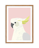 Cockatoo on Pink by Dan Hobday Art Print-PRINT-Olive et Oriel-Dan Hobday-50x70 cm | 19.6" x 27.5"-Walnut-With White Border-Buy-Australian-Art-Prints-Online-with-Olive-et-Oriel-Your-Artwork-Specialists-Austrailia-Decorate-With-Coastal-Photo-Wall-Art-Prints-From-Our-Beach-House-Artwork-Collection-Fine-Poster-and-Framed-Artwork