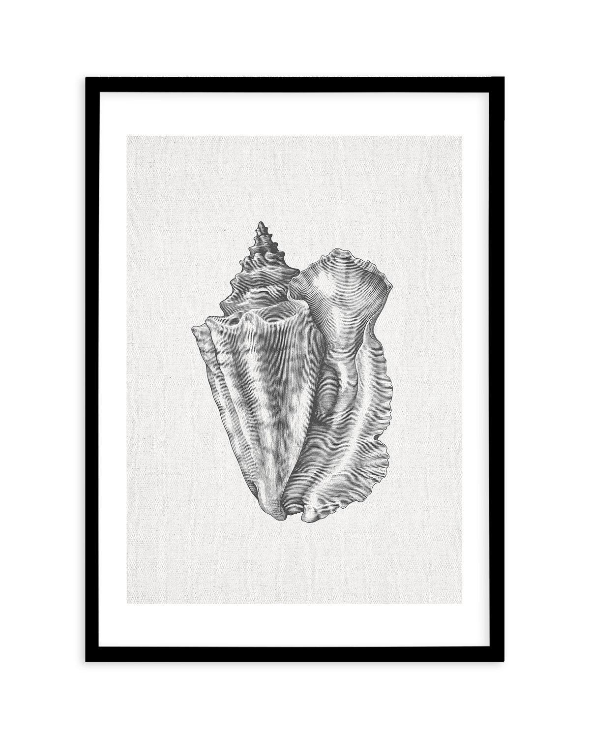 Conch Shell on Linen Art Print-PRINT-Olive et Oriel-Olive et Oriel-A5 | 5.8" x 8.3" | 14.8 x 21cm-Black-With White Border-Buy-Australian-Art-Prints-Online-with-Olive-et-Oriel-Your-Artwork-Specialists-Austrailia-Decorate-With-Coastal-Photo-Wall-Art-Prints-From-Our-Beach-House-Artwork-Collection-Fine-Poster-and-Framed-Artwork