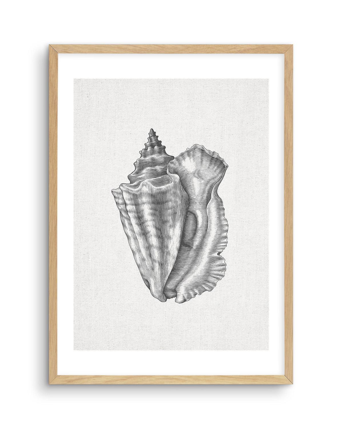 Conch Shell on Linen Art Print-PRINT-Olive et Oriel-Olive et Oriel-A5 | 5.8" x 8.3" | 14.8 x 21cm-Oak-With White Border-Buy-Australian-Art-Prints-Online-with-Olive-et-Oriel-Your-Artwork-Specialists-Austrailia-Decorate-With-Coastal-Photo-Wall-Art-Prints-From-Our-Beach-House-Artwork-Collection-Fine-Poster-and-Framed-Artwork