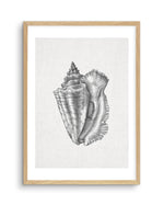 Conch Shell on Linen Art Print-PRINT-Olive et Oriel-Olive et Oriel-A5 | 5.8" x 8.3" | 14.8 x 21cm-Oak-With White Border-Buy-Australian-Art-Prints-Online-with-Olive-et-Oriel-Your-Artwork-Specialists-Austrailia-Decorate-With-Coastal-Photo-Wall-Art-Prints-From-Our-Beach-House-Artwork-Collection-Fine-Poster-and-Framed-Artwork