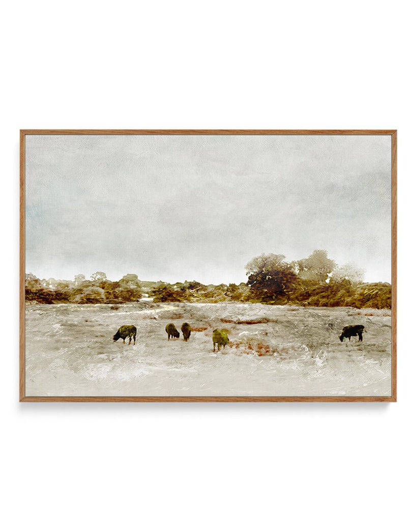 Cows by the Sea by Dan Hobday | Framed Canvas-CANVAS-You can shop wall art online with Olive et Oriel for everything from abstract art to fun kids wall art. Our beautiful modern art prints and canvas art are available from large canvas prints to wall art paintings and our proudly Australian artwork collection offers only the highest quality framed large wall art and canvas art Australia - You can buy fashion photography prints or Hampton print posters and paintings on canvas from Olive et Oriel 