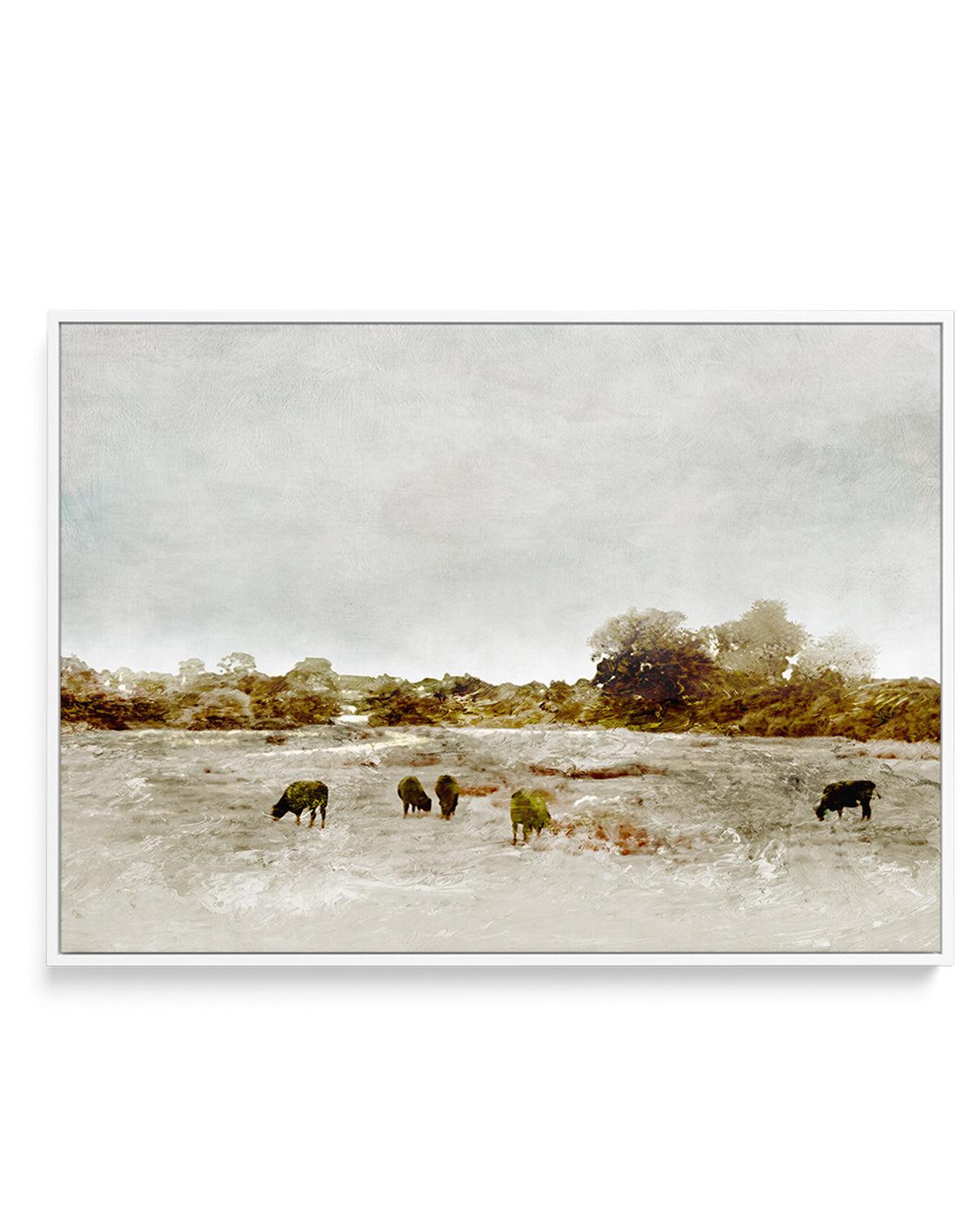 Cows by the Sea by Dan Hobday | Framed Canvas-CANVAS-You can shop wall art online with Olive et Oriel for everything from abstract art to fun kids wall art. Our beautiful modern art prints and canvas art are available from large canvas prints to wall art paintings and our proudly Australian artwork collection offers only the highest quality framed large wall art and canvas art Australia - You can buy fashion photography prints or Hampton print posters and paintings on canvas from Olive et Oriel 