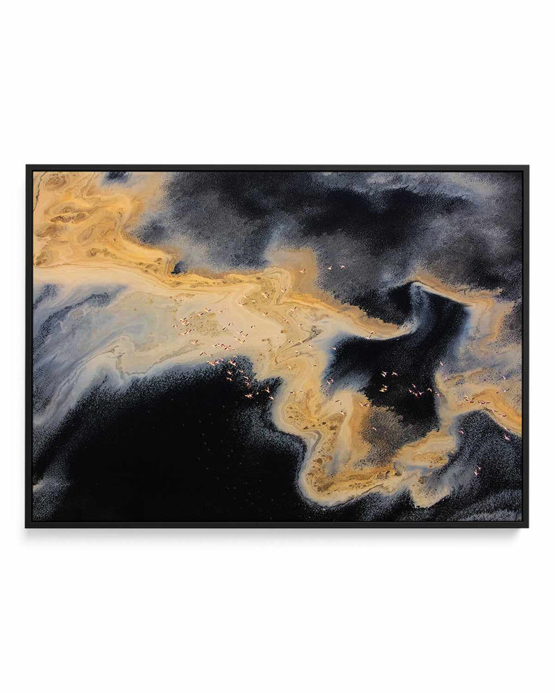 Cream by Phillip Chang | Framed Canvas Art Print