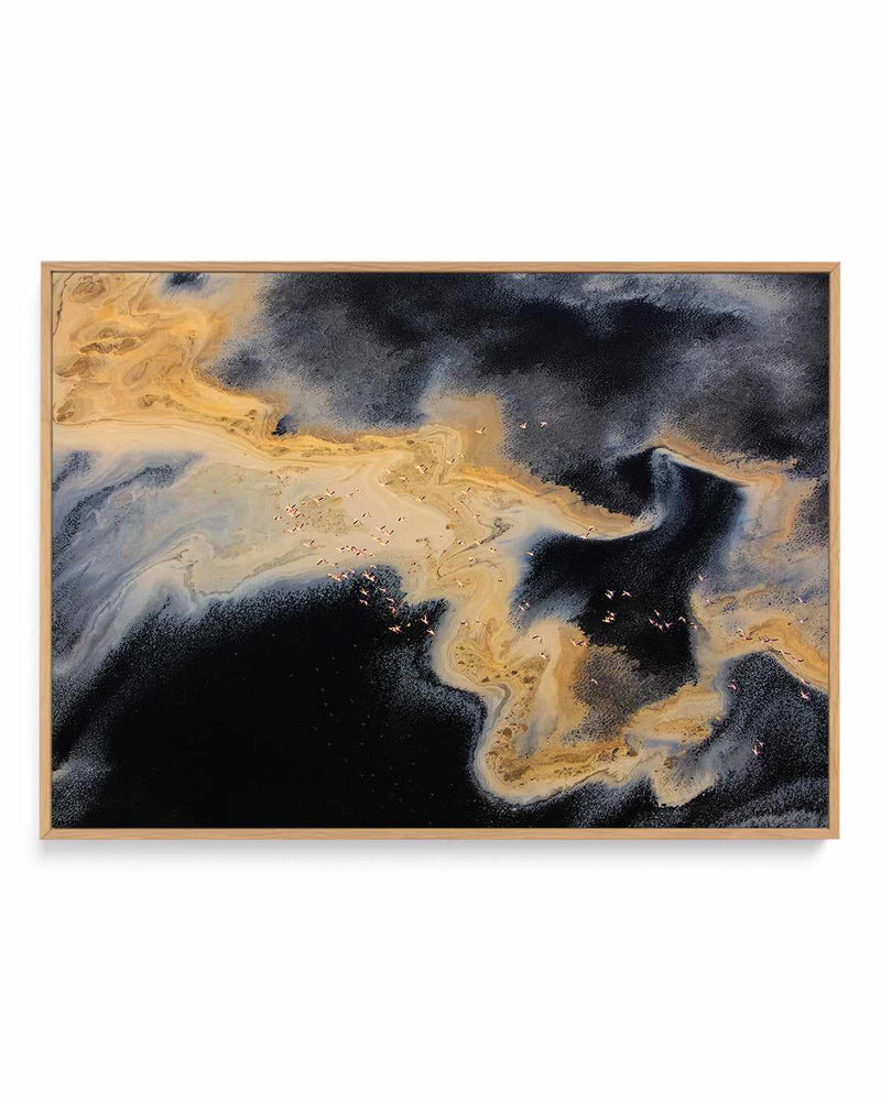 Cream by Phillip Chang | Framed Canvas Art Print