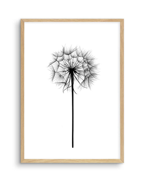 Dandelion Art Print-PRINT-Olive et Oriel-Olive et Oriel-A5 | 5.8" x 8.3" | 14.8 x 21cm-Oak-With White Border-Buy-Australian-Art-Prints-Online-with-Olive-et-Oriel-Your-Artwork-Specialists-Austrailia-Decorate-With-Coastal-Photo-Wall-Art-Prints-From-Our-Beach-House-Artwork-Collection-Fine-Poster-and-Framed-Artwork