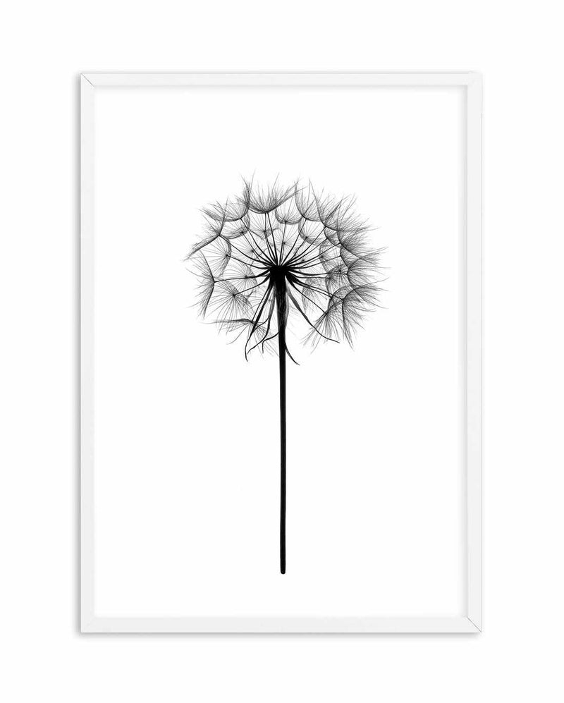 Dandelion Art Print-PRINT-Olive et Oriel-Olive et Oriel-A5 | 5.8" x 8.3" | 14.8 x 21cm-White-With White Border-Buy-Australian-Art-Prints-Online-with-Olive-et-Oriel-Your-Artwork-Specialists-Austrailia-Decorate-With-Coastal-Photo-Wall-Art-Prints-From-Our-Beach-House-Artwork-Collection-Fine-Poster-and-Framed-Artwork