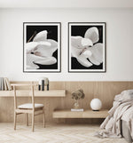 Dark Magnolia I | PT Art Print-PRINT-Olive et Oriel-Olive et Oriel-Buy-Australian-Art-Prints-Online-with-Olive-et-Oriel-Your-Artwork-Specialists-Austrailia-Decorate-With-Coastal-Photo-Wall-Art-Prints-From-Our-Beach-House-Artwork-Collection-Fine-Poster-and-Framed-Artwork