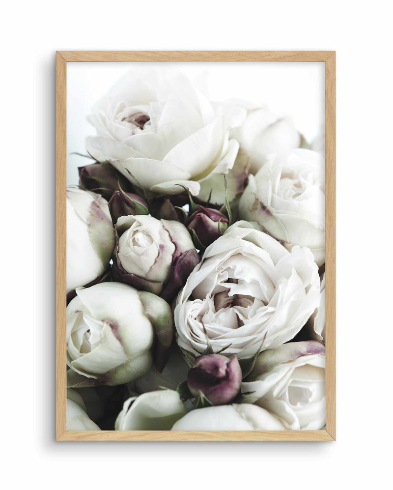 David Austin Roses Art Print-PRINT-Olive et Oriel-Olive et Oriel-A4 | 8.3" x 11.7" | 21 x 29.7cm-Oak-With White Border-Buy-Australian-Art-Prints-Online-with-Olive-et-Oriel-Your-Artwork-Specialists-Austrailia-Decorate-With-Coastal-Photo-Wall-Art-Prints-From-Our-Beach-House-Artwork-Collection-Fine-Poster-and-Framed-Artwork