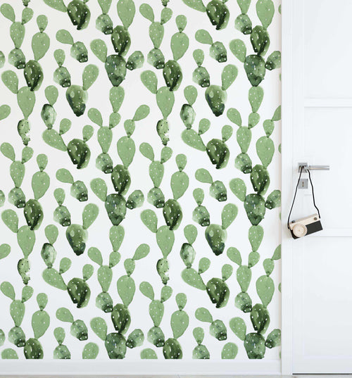 Desert Cactus Wallpaper-Wallpaper-Buy Kids Removable Wallpaper Online Our Custom Made Children√¢‚Ç¨‚Ñ¢s Wallpapers Are A Fun Way To Decorate And Enhance Boys Bedroom Decor And Girls Bedrooms They Are An Amazing Addition To Your Kids Bedroom Walls Our Collection of Kids Wallpaper Is Sure To Transform Your Kids Rooms Interior Style From Pink Wallpaper To Dinosaur Wallpaper Even Marble Wallpapers For Teen Boys Shop Peel And Stick Wallpaper Online Today With Olive et Oriel