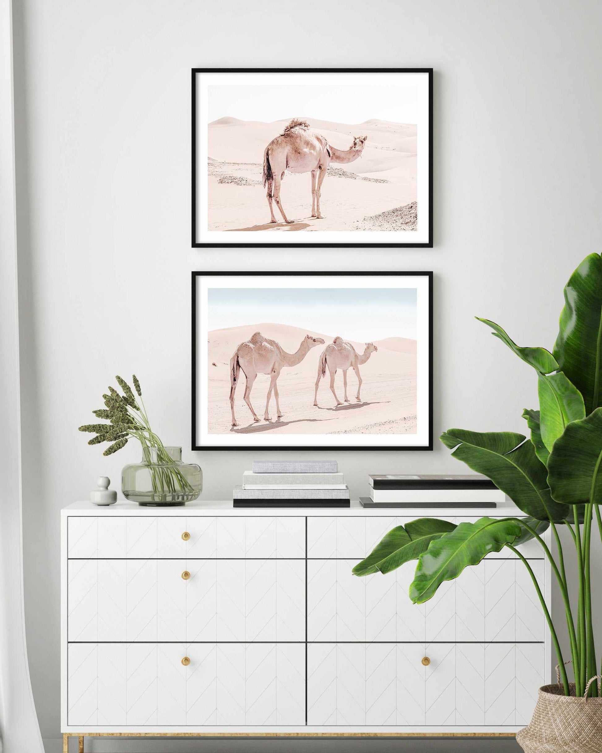 Desert Camels I Art Print-Shop Australian Art Prints Online with Olive et Oriel - Our collection of Moroccan art prints offer unique wall art including moroccan arches and pink morocco doors of marrakech - this collection will add soft feminine colour to your walls and some may say bohemian style. These traditional morocco landscape photography includes desert scenes of palm trees and camel art prints - there is art on canvas and extra large wall art with fast, free shipping across Australia. Up