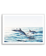 Dolphins | LS Art Print-PRINT-Olive et Oriel-Olive et Oriel-A5 | 5.8" x 8.3" | 14.8 x 21cm-Unframed Art Print-With White Border-Buy-Australian-Art-Prints-Online-with-Olive-et-Oriel-Your-Artwork-Specialists-Austrailia-Decorate-With-Coastal-Photo-Wall-Art-Prints-From-Our-Beach-House-Artwork-Collection-Fine-Poster-and-Framed-Artwork