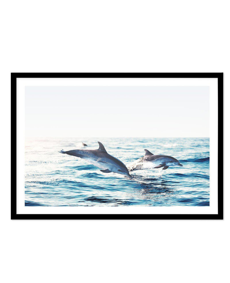 Dolphins | LS Art Print-PRINT-Olive et Oriel-Olive et Oriel-A5 | 5.8" x 8.3" | 14.8 x 21cm-Black-With White Border-Buy-Australian-Art-Prints-Online-with-Olive-et-Oriel-Your-Artwork-Specialists-Austrailia-Decorate-With-Coastal-Photo-Wall-Art-Prints-From-Our-Beach-House-Artwork-Collection-Fine-Poster-and-Framed-Artwork