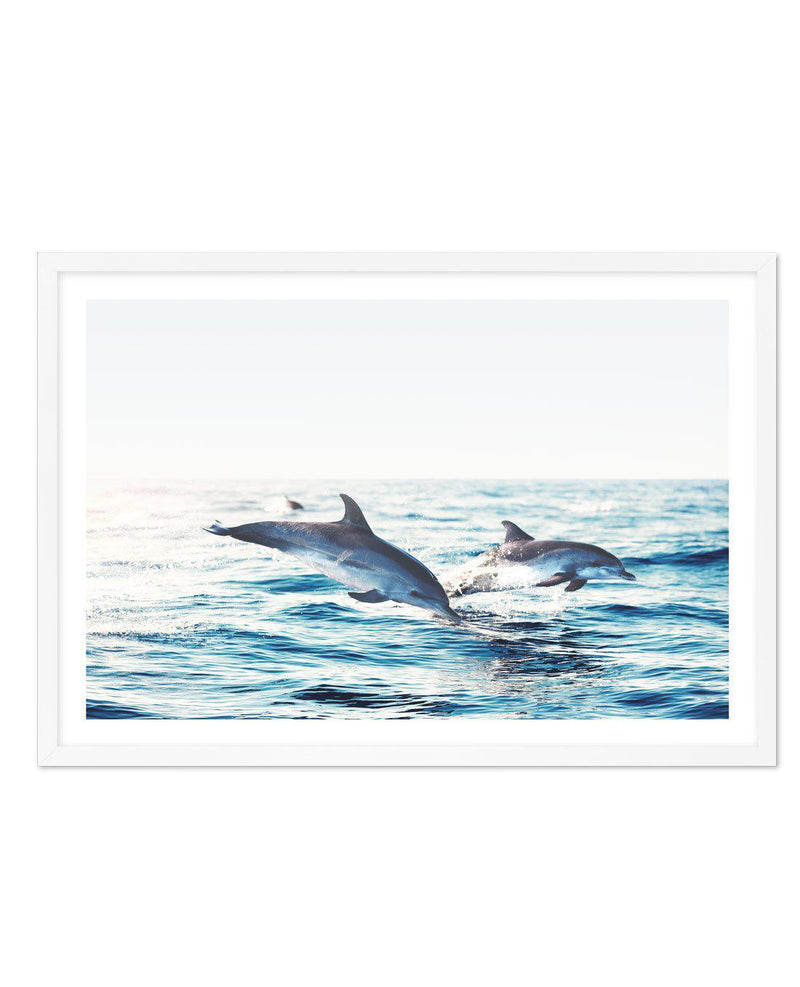 Dolphins | LS Art Print-PRINT-Olive et Oriel-Olive et Oriel-A5 | 5.8" x 8.3" | 14.8 x 21cm-White-With White Border-Buy-Australian-Art-Prints-Online-with-Olive-et-Oriel-Your-Artwork-Specialists-Austrailia-Decorate-With-Coastal-Photo-Wall-Art-Prints-From-Our-Beach-House-Artwork-Collection-Fine-Poster-and-Framed-Artwork