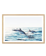 Dolphins | LS Art Print-PRINT-Olive et Oriel-Olive et Oriel-A5 | 5.8" x 8.3" | 14.8 x 21cm-Oak-With White Border-Buy-Australian-Art-Prints-Online-with-Olive-et-Oriel-Your-Artwork-Specialists-Austrailia-Decorate-With-Coastal-Photo-Wall-Art-Prints-From-Our-Beach-House-Artwork-Collection-Fine-Poster-and-Framed-Artwork