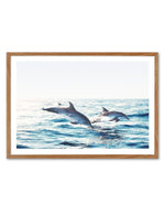Dolphins | LS Art Print-PRINT-Olive et Oriel-Olive et Oriel-50x70 cm | 19.6" x 27.5"-Walnut-With White Border-Buy-Australian-Art-Prints-Online-with-Olive-et-Oriel-Your-Artwork-Specialists-Austrailia-Decorate-With-Coastal-Photo-Wall-Art-Prints-From-Our-Beach-House-Artwork-Collection-Fine-Poster-and-Framed-Artwork