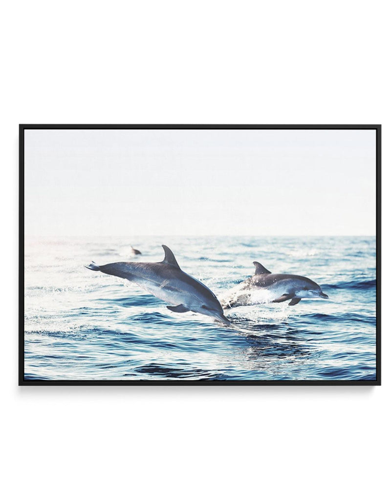 Dolphins | LS | Framed Canvas-CANVAS-You can shop wall art online with Olive et Oriel for everything from abstract art to fun kids wall art. Our beautiful modern art prints and canvas art are available from large canvas prints to wall art paintings and our proudly Australian artwork collection offers only the highest quality framed large wall art and canvas art Australia - You can buy fashion photography prints or Hampton print posters and paintings on canvas from Olive et Oriel and have them de