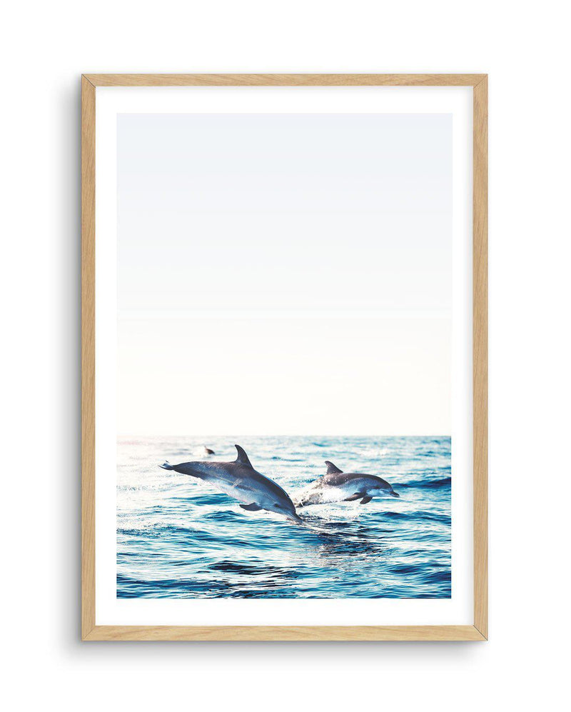 Dolphins | PT Art Print-PRINT-Olive et Oriel-Olive et Oriel-A5 | 5.8" x 8.3" | 14.8 x 21cm-Oak-With White Border-Buy-Australian-Art-Prints-Online-with-Olive-et-Oriel-Your-Artwork-Specialists-Austrailia-Decorate-With-Coastal-Photo-Wall-Art-Prints-From-Our-Beach-House-Artwork-Collection-Fine-Poster-and-Framed-Artwork