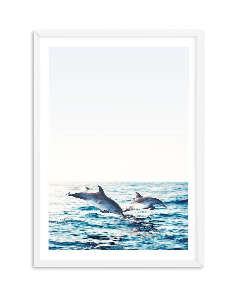 Dolphins | PT Art Print-PRINT-Olive et Oriel-Olive et Oriel-A5 | 5.8" x 8.3" | 14.8 x 21cm-White-With White Border-Buy-Australian-Art-Prints-Online-with-Olive-et-Oriel-Your-Artwork-Specialists-Austrailia-Decorate-With-Coastal-Photo-Wall-Art-Prints-From-Our-Beach-House-Artwork-Collection-Fine-Poster-and-Framed-Artwork